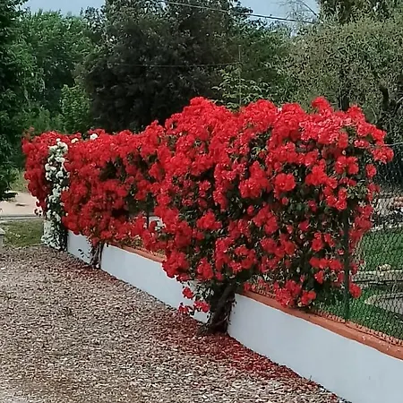 La Dimora Delle Rose Дом отдыха