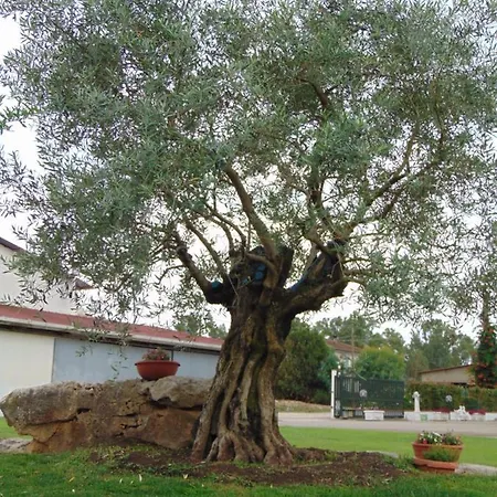 La Dimora Delle Rose Hermada