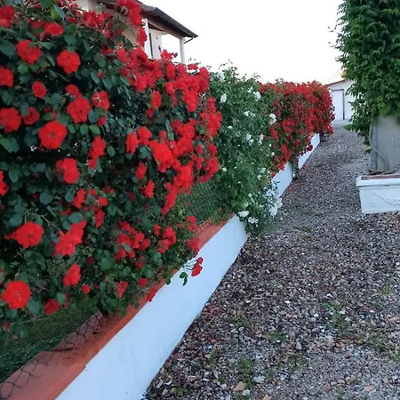 La Dimora Delle Rose *
